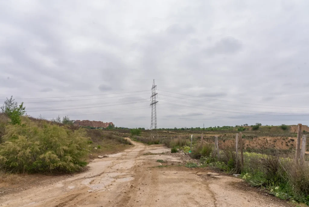 DSC09163.webp