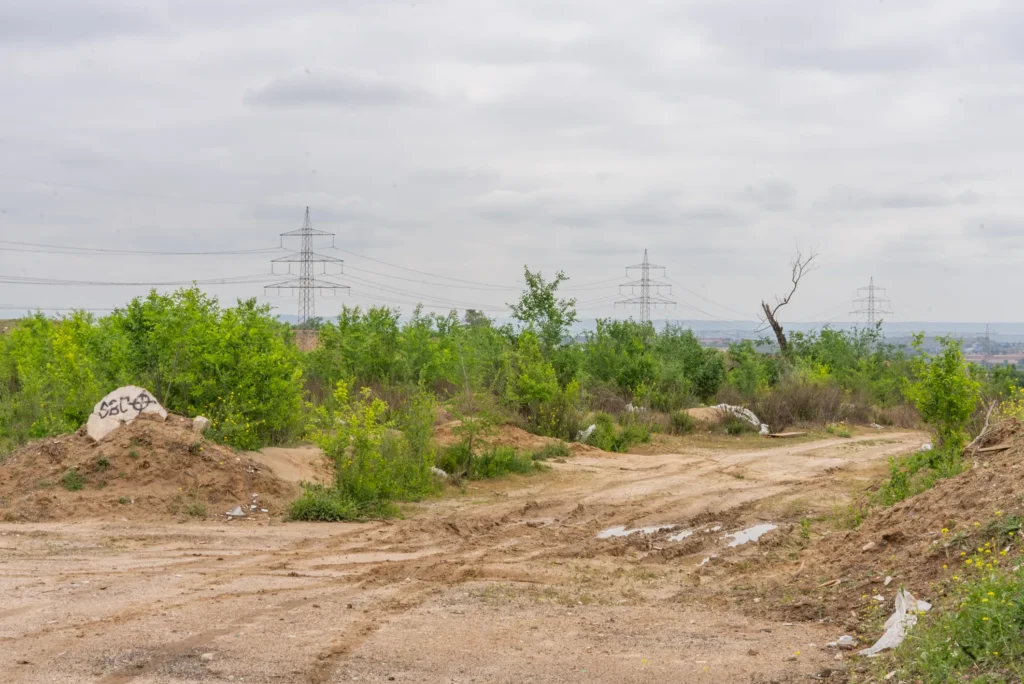 DSC09314.webp